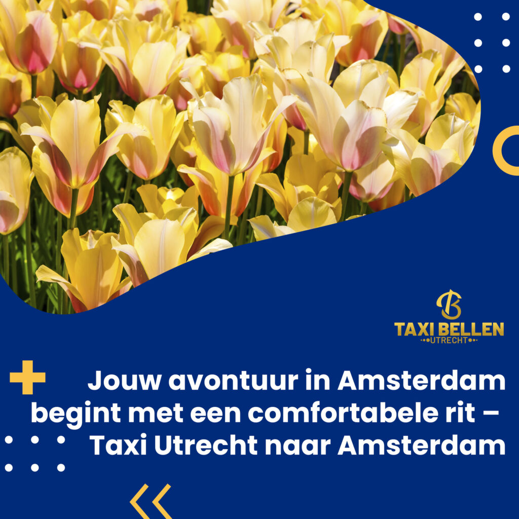 Exploring Amsterdam for the First Time: An Insider's Guide